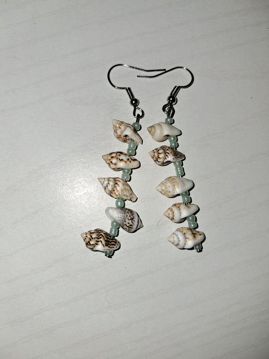 Shell earrings