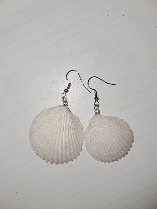 Shell earrings